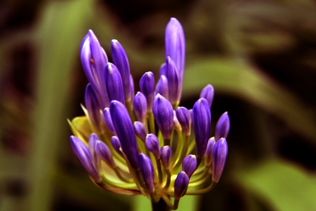 竞争能力 竞争能力