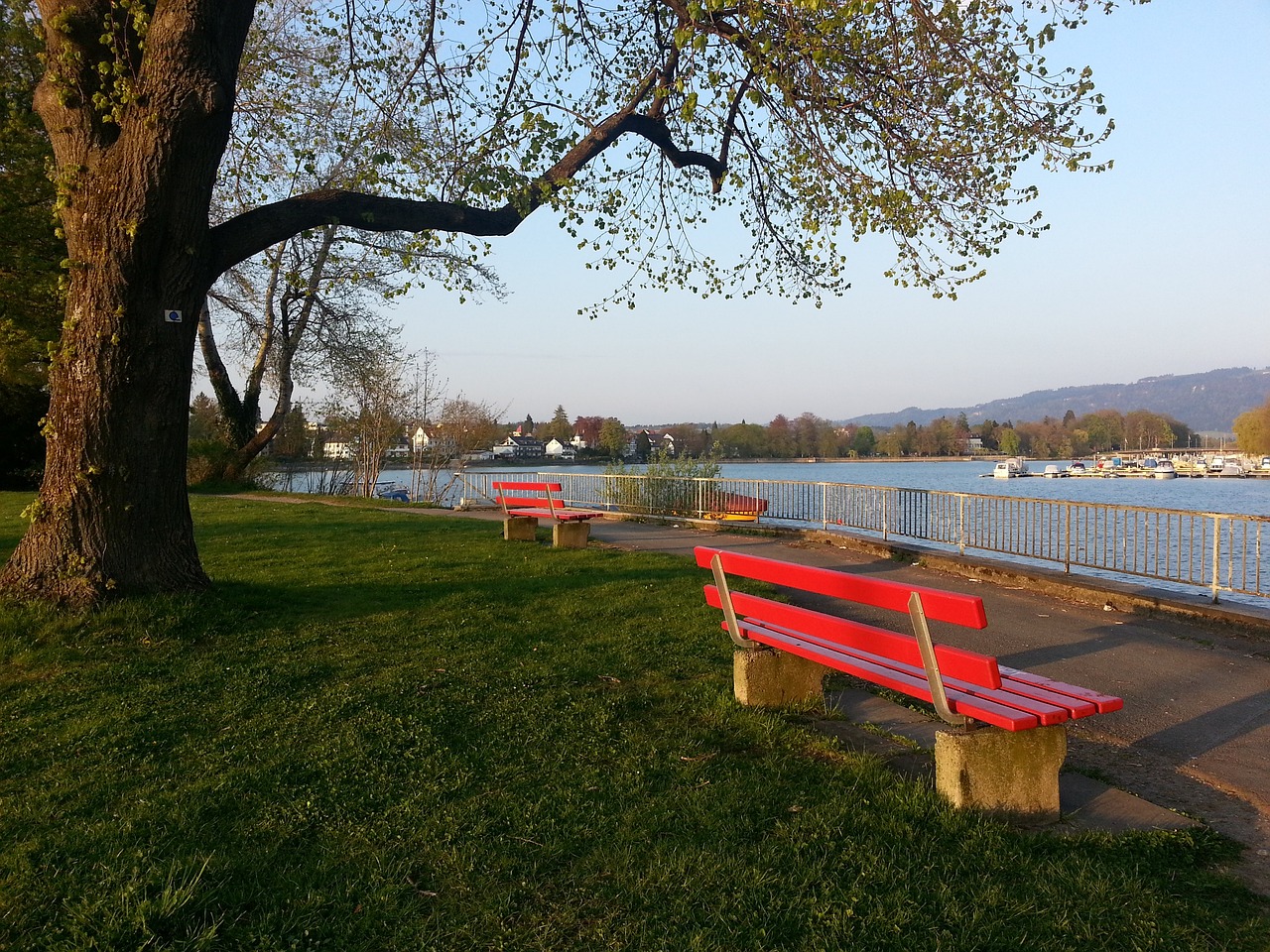 成为赛后讨 成为赛后讨